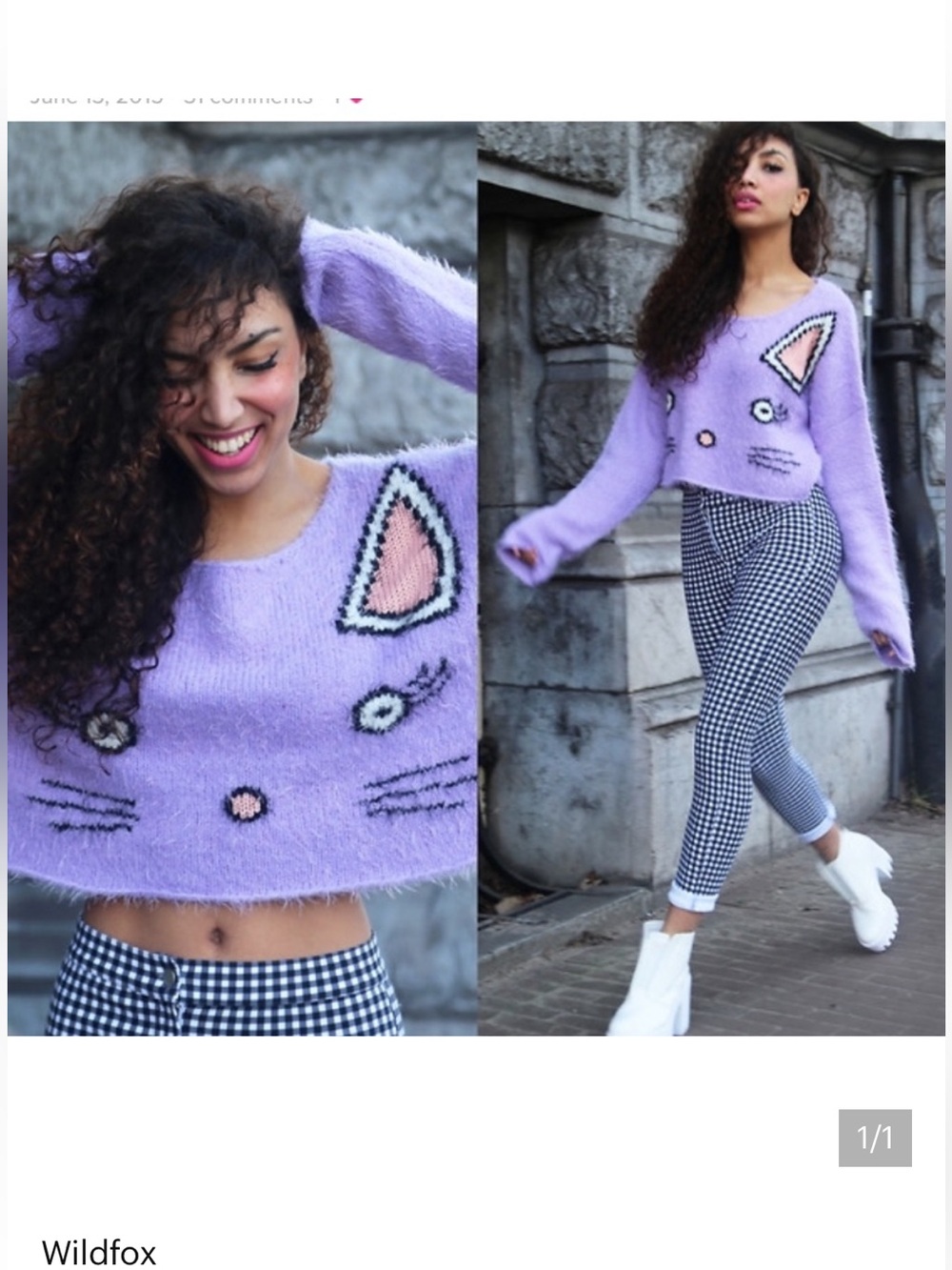 Rare Wildfox Fuzzy Cat Cropped Sweater - Picture 8 of 8